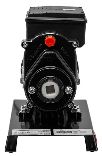 Electric Tomato Squeezer with 0.3HP Motor