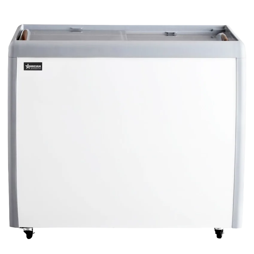 39" Two (2) Door Ice Cream Display Chest Freezer with Flat Glass Top, 9.5 cu.ft (270 L)