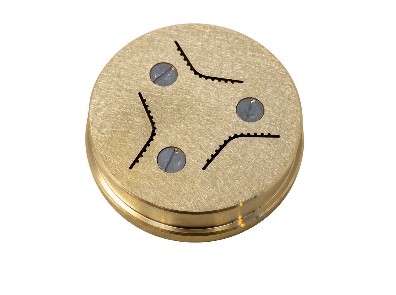 TR75 Dies- Conchiglie