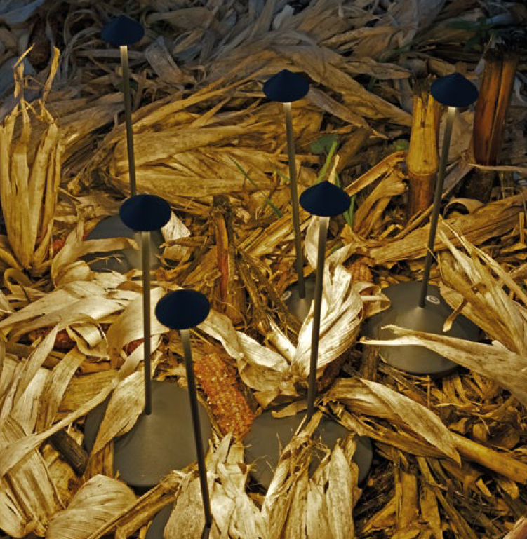 Laurentian Black LED Rechargeable Table Lamp