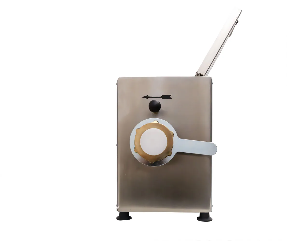 Avancini La Pastaia TR 70 18 lb/hr Countertop Pasta Machine 110 V | Trento