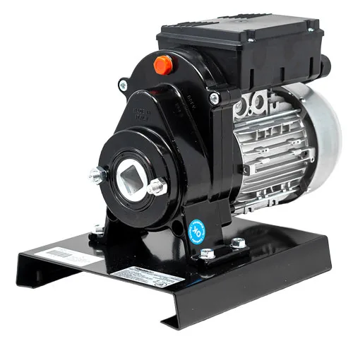 Electric Tomato Squeezer with 0.4HP Motor