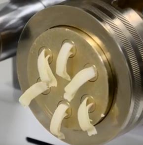 Pasta Dies for TR95