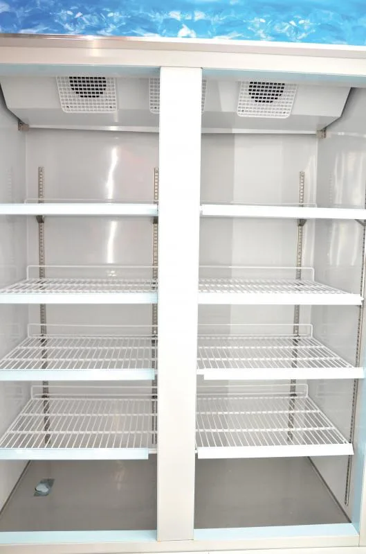 49″ Two (2) Glass Door Display Freezer, 29 cu.ft (821 L), White