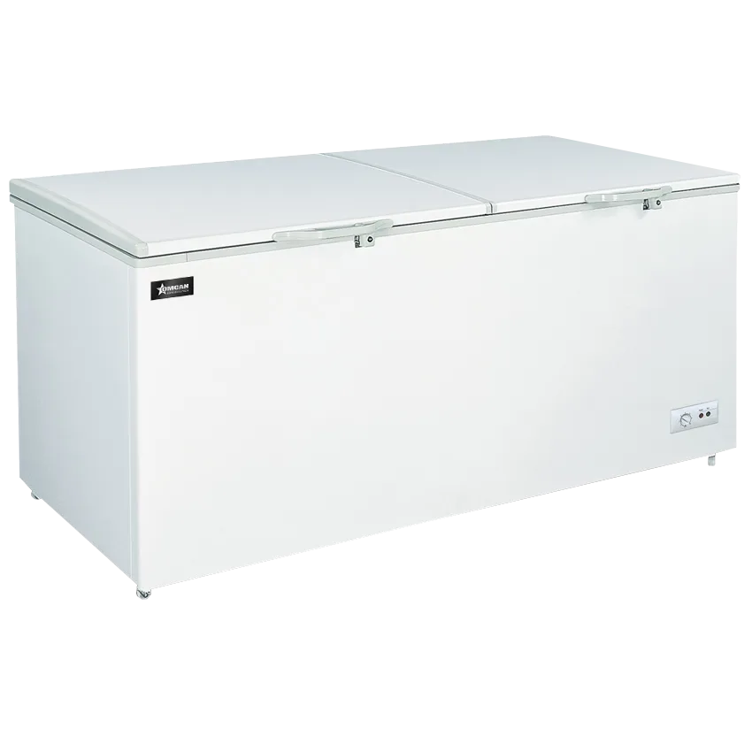 76" Two (2) Door Chest Freezer With Solid Flat Top 19.8 cu.ft. (560 L)