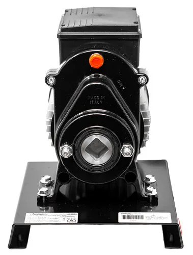 Electric Tomato Squeezer with 0.8HP Motor