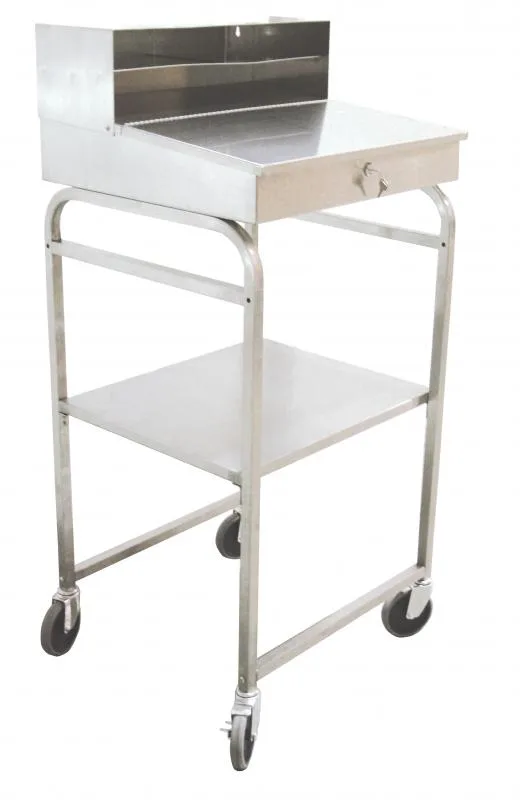 24" Stainless Steel Mobile Receiving Desk